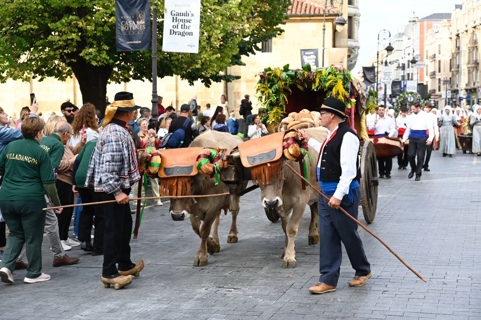 Fotos de las Cantaderas 2025