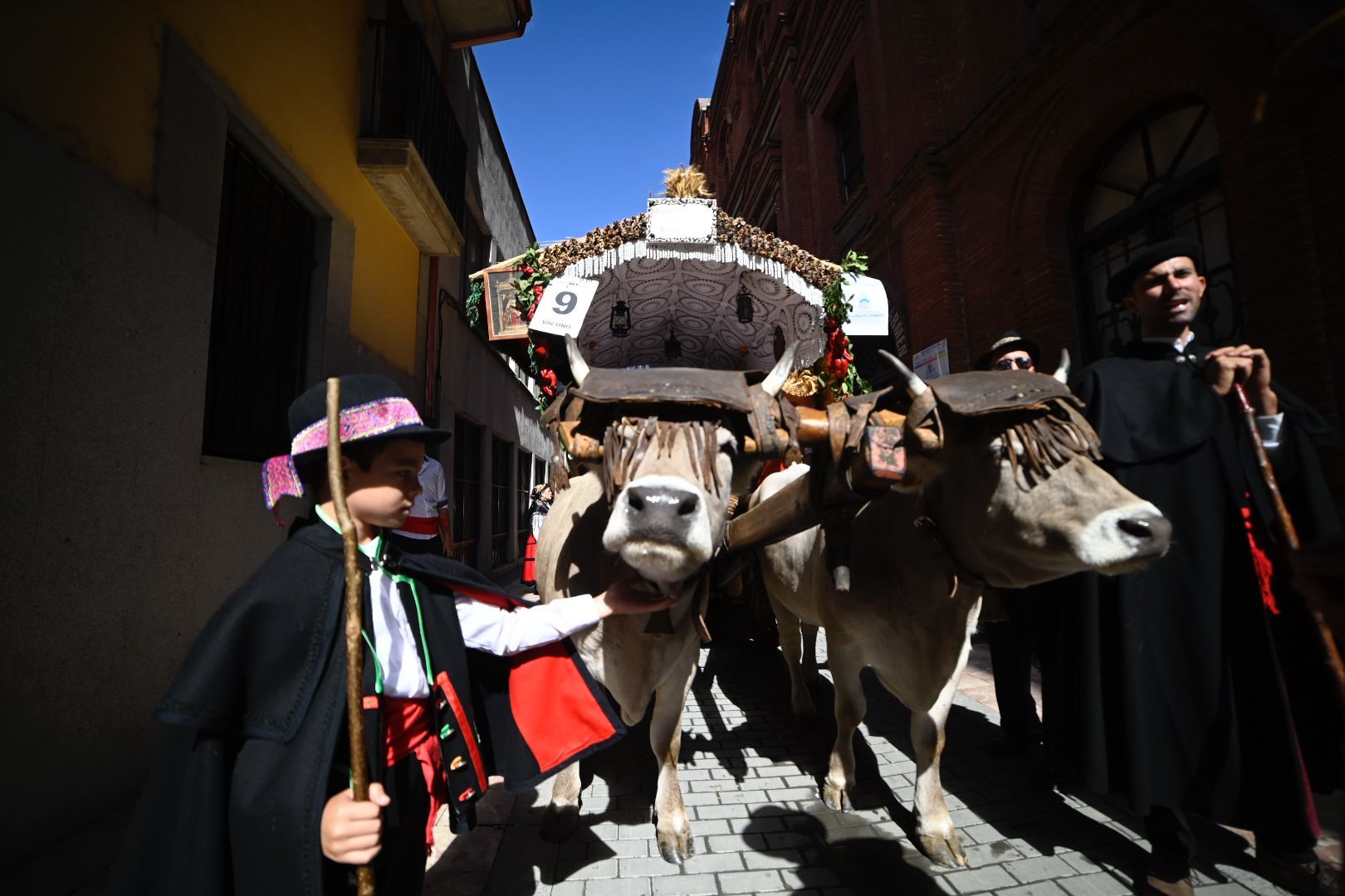 El desfile y concurso de carros engalanados