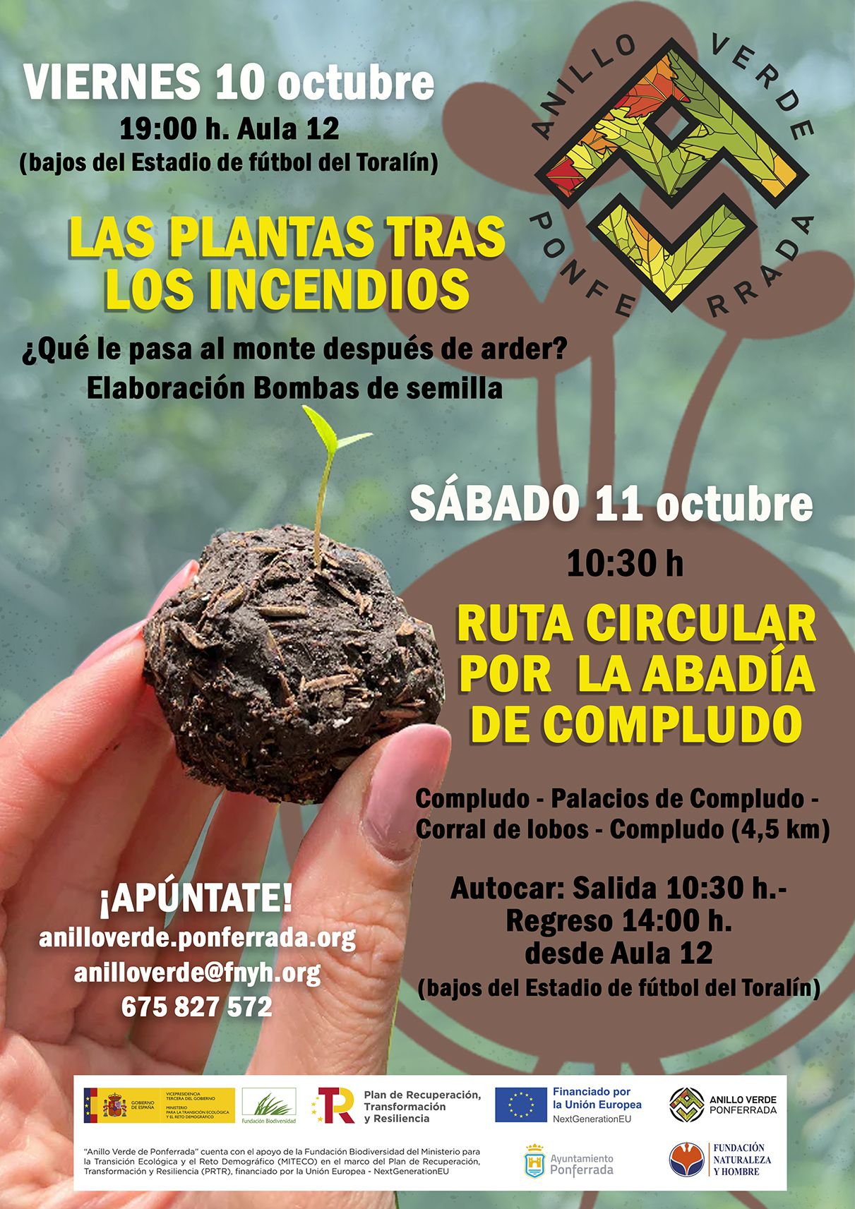 Cartel de la actividad. 