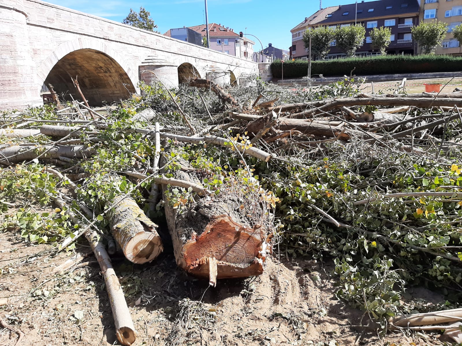 Tareas de limpieza del cauce del Torío a su paso por Puente Castro. | LNC Tareas de limpieza del cauce del Torío a su paso por Puente Castro. | LNC