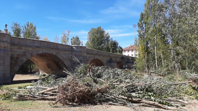limpieza torío puente castro 1