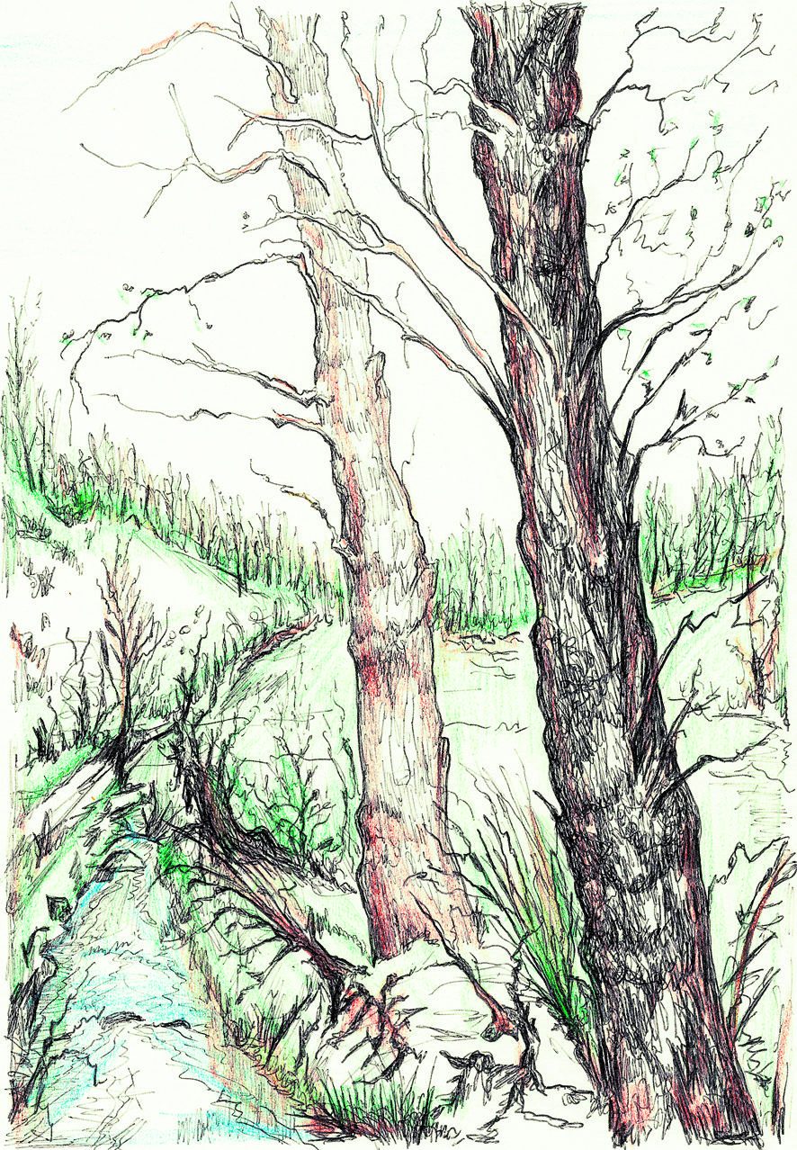 La única riqueza esencial. | LNC