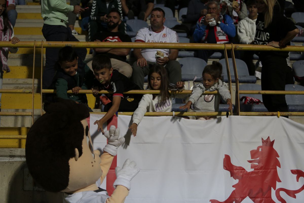 Cultural Albacete (11)