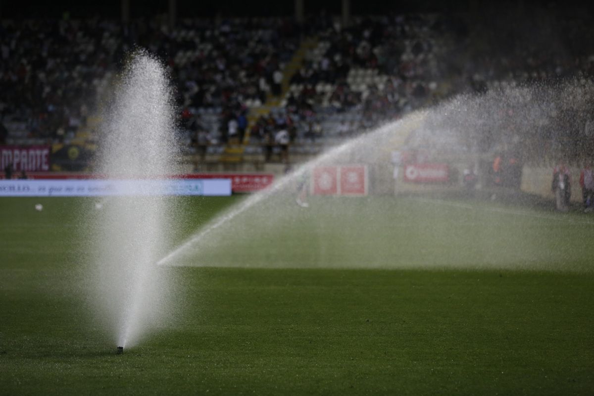 Cultural Albacete (10)