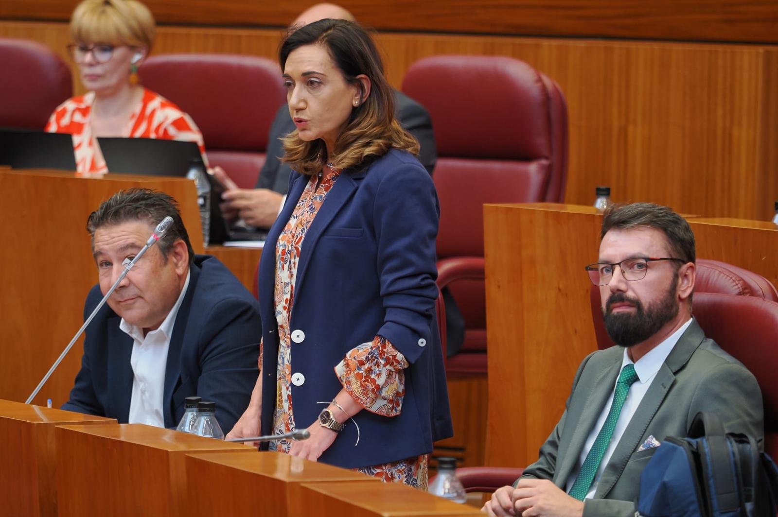 La procuradora de UPL, Alicia Gallego durante el pleno de las Cortes de Castilla y León | L.N.C. 