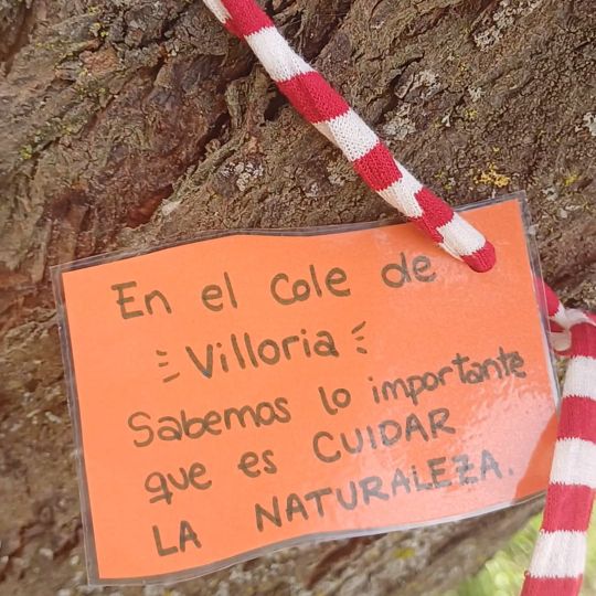 Uno de los mensajes de los alumnos. L.N.C. Uno de los mensajes de los alumnos. L.N.C.