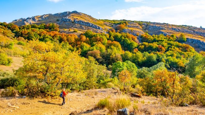 11 Se camina entre hayas y robles