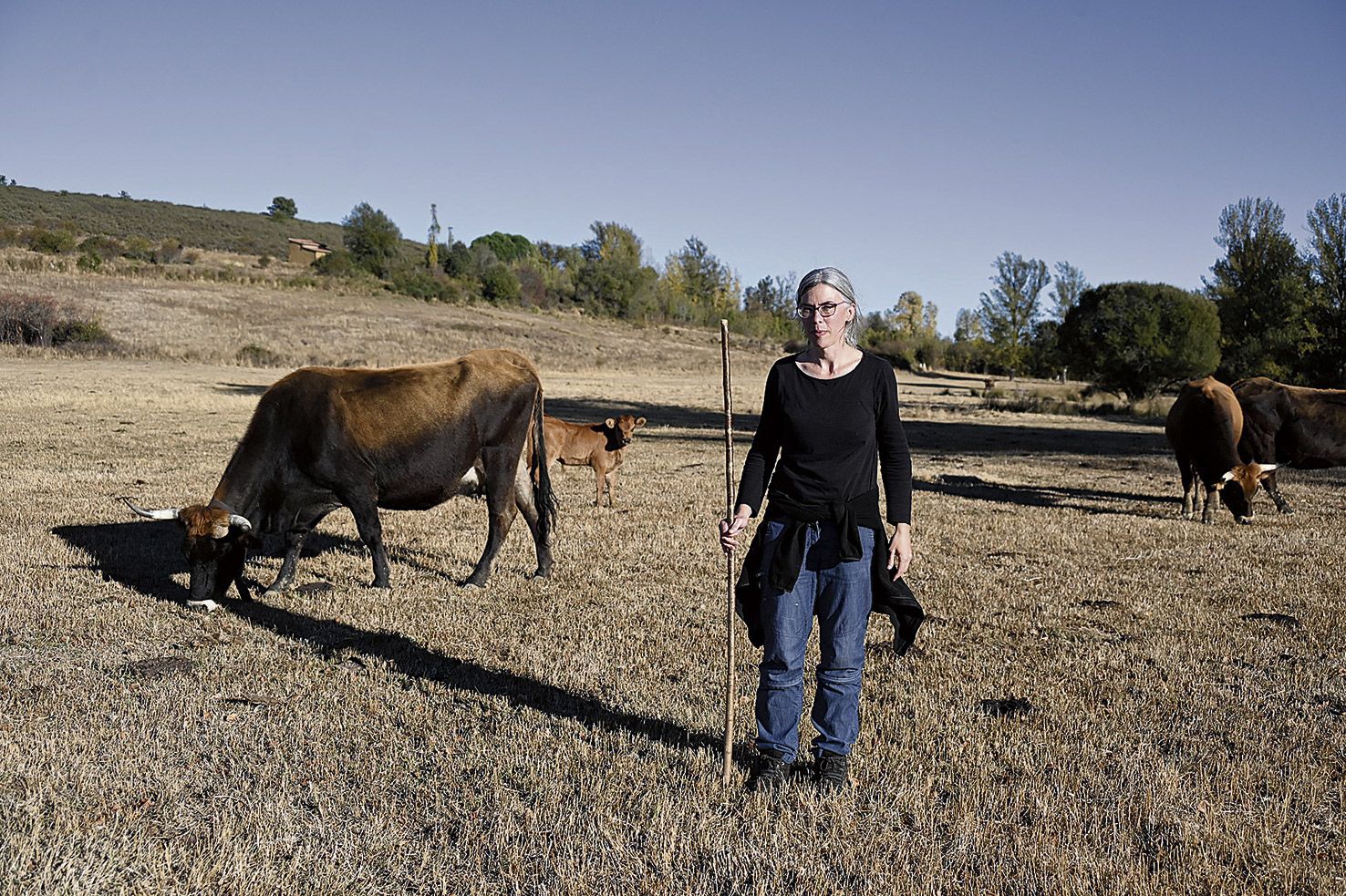 Flor León empezó en la ganadería en el año 2009, comprando una vaca para consumo propio. | SAÚL ARÉN