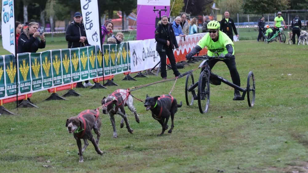Coyanza volverá a ser escenario de la espectacularidad del mushing. | L.N.C.