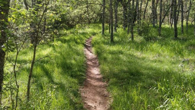 Senderos en Las Doncellas del Hoyal. AYTO. GUARDO