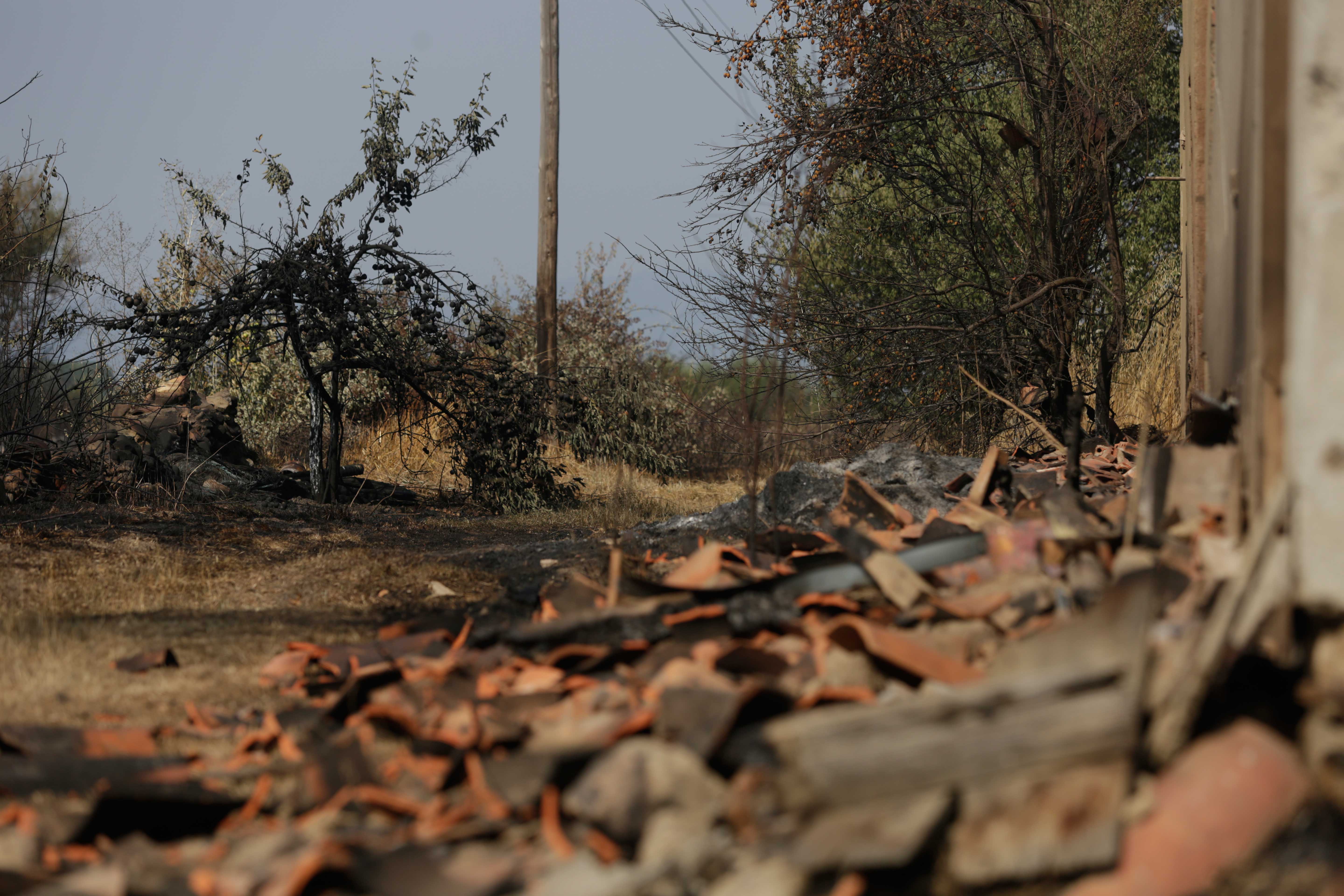 Imagen de archivo de uno de los incendios del pasado verano. | FERNANDO OTERO