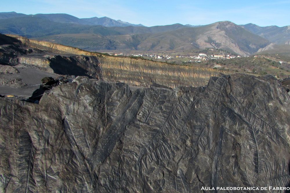 que visitar aula paleobotanica01 que visitar aula paleobotanica01
