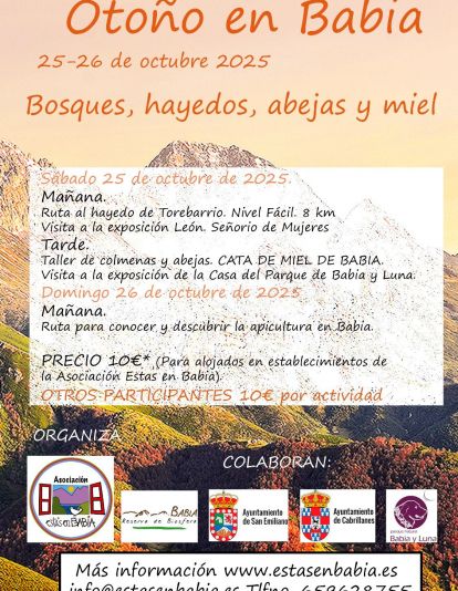 Bosques, hayedos, abejas y miel. Bosques, hayedos, abejas y miel.