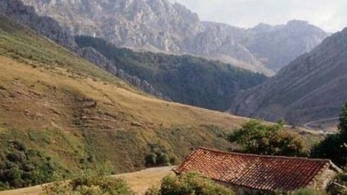 Detalle de la ruta de senderismo las Brañas de Caldas. CUATRO VALLES