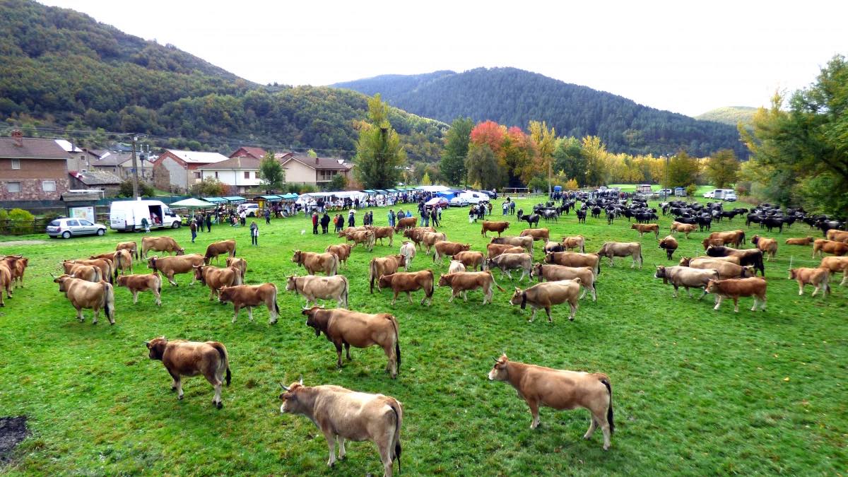 Imagen de la última edición de la Feria ganadera de la Reina. | L.N.C.