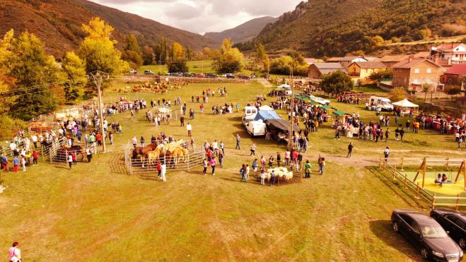 FERIA GANADERA REINA