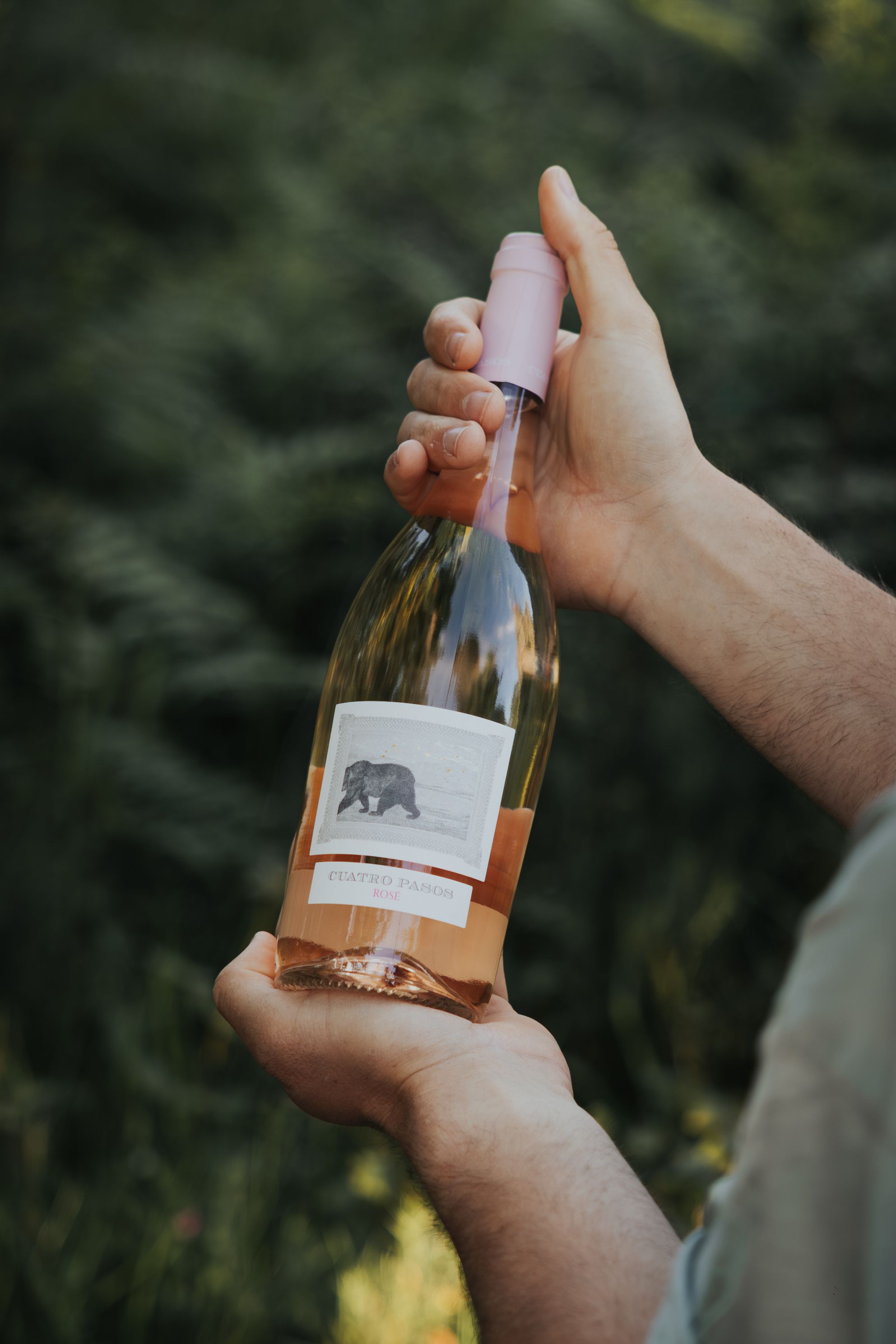 Cuatro Pasos Rosé ha sido reconocido como Mejor Vino Rosado del Bierzo 2025.