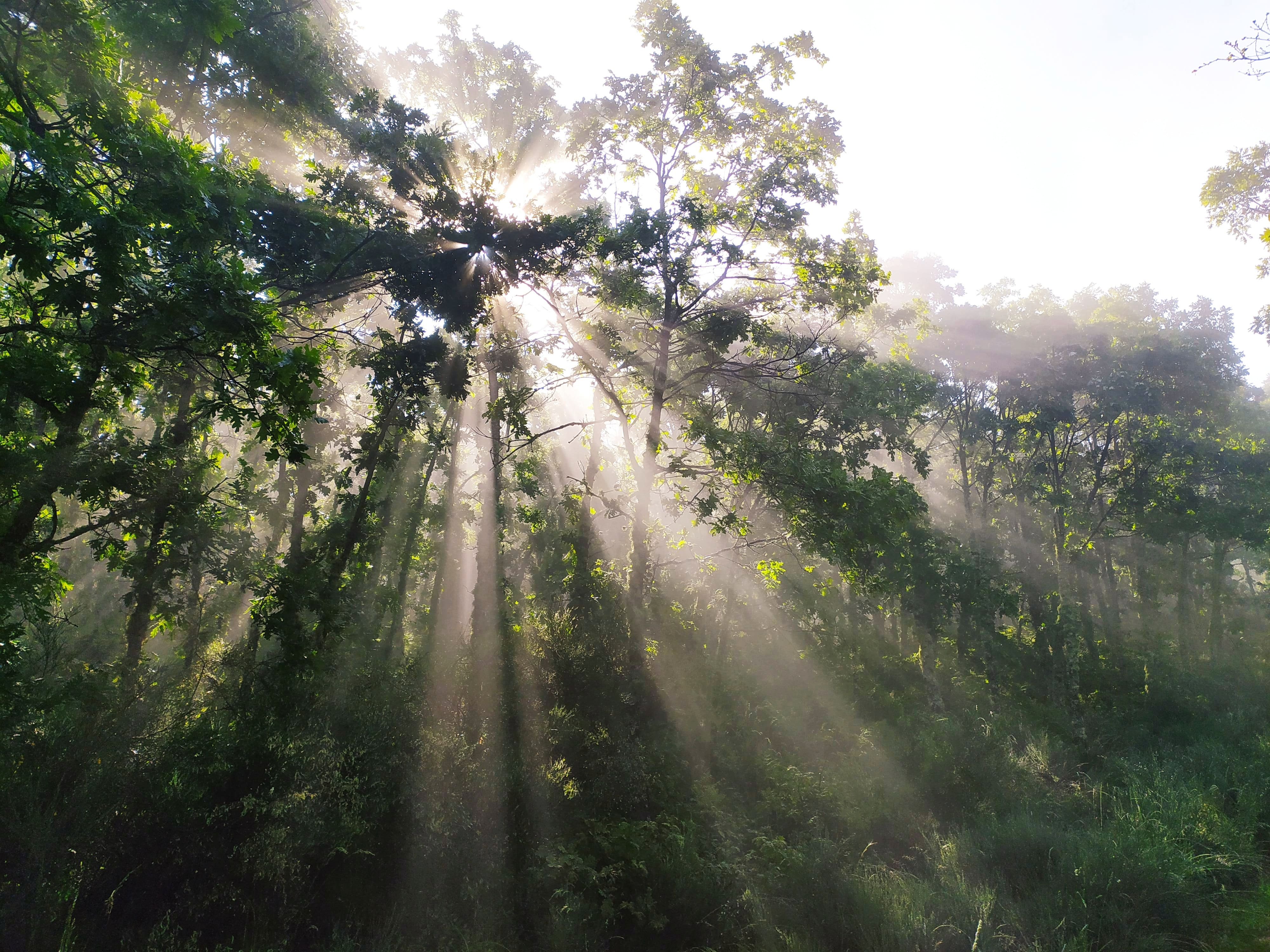 11 Tercer Premio Dejanos pasar 11 Tercer Premio Dejanos pasar