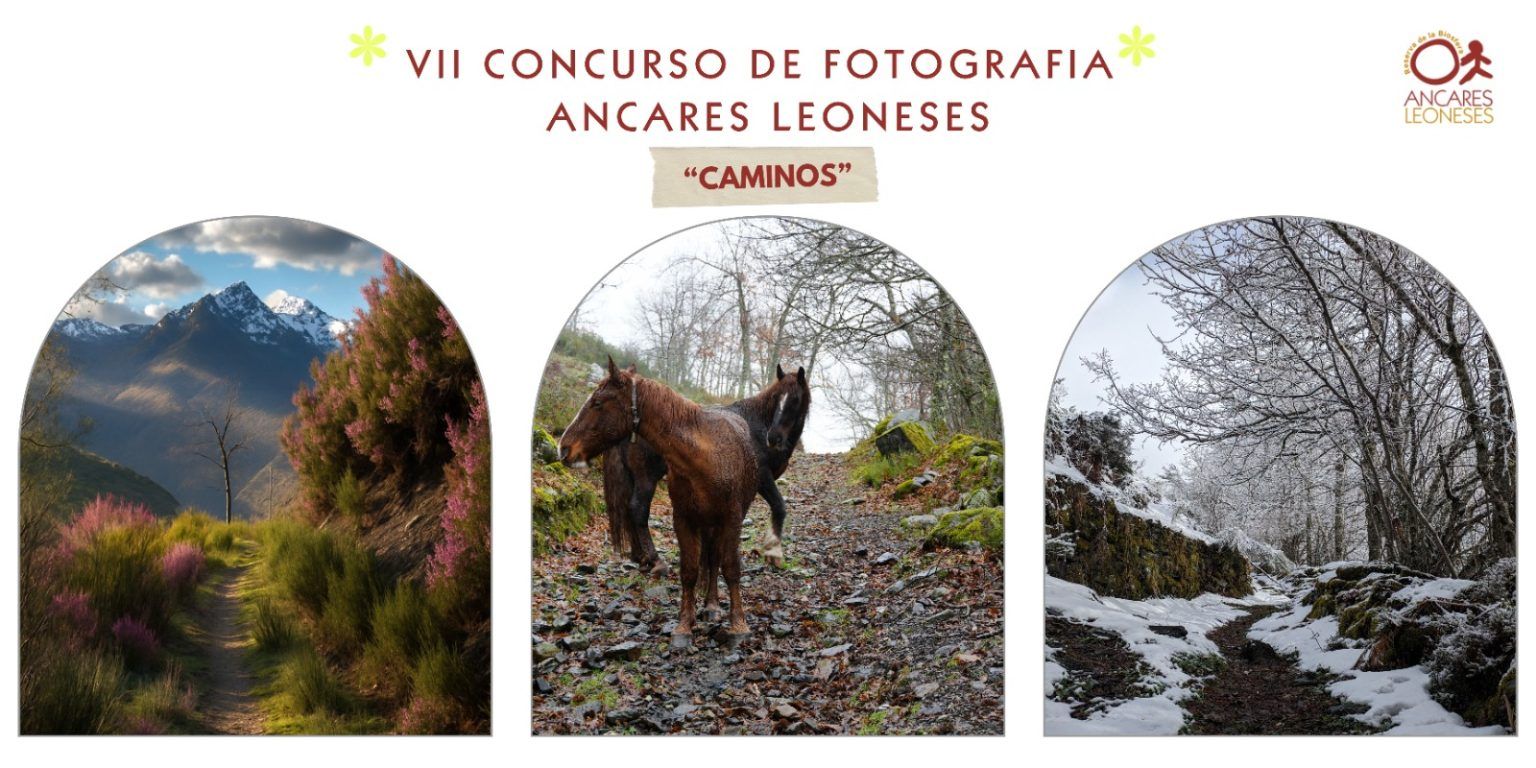 Fotos ganadoras. Fotos ganadoras.