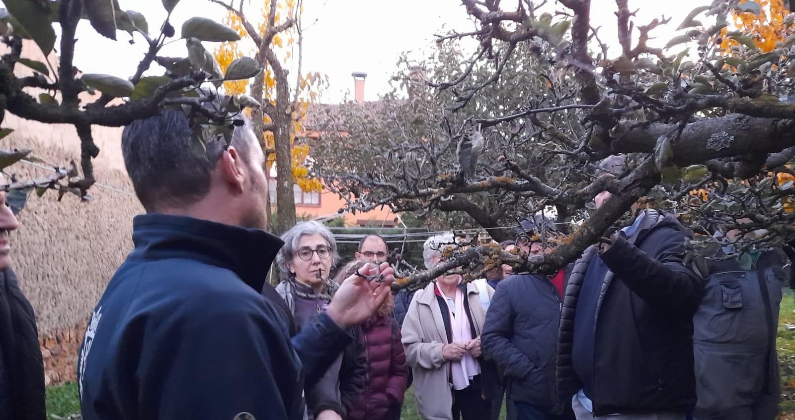 Una de las clases durante otro de los cursos de poda realizado por anterioridad por Naturgeis. | L.N.C.