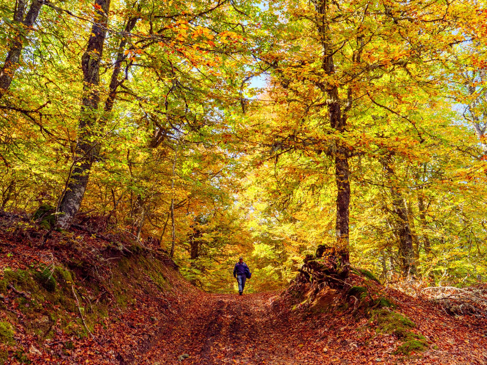 17 Saltadero de Acebedo