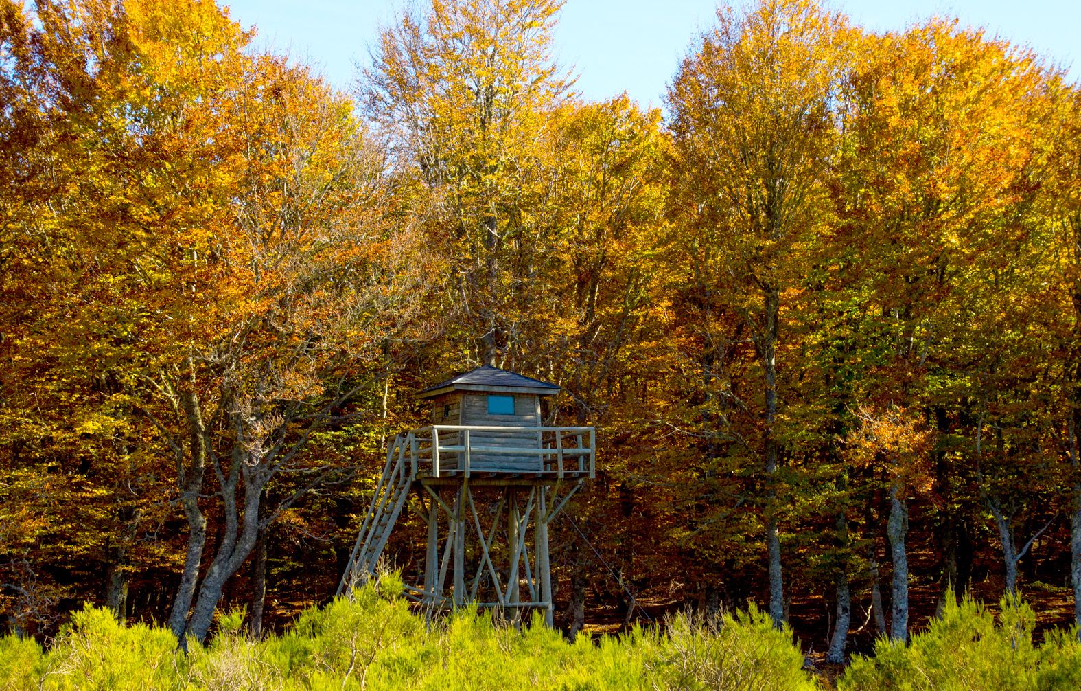 06 Mirva. caseta de vigilanciajpg