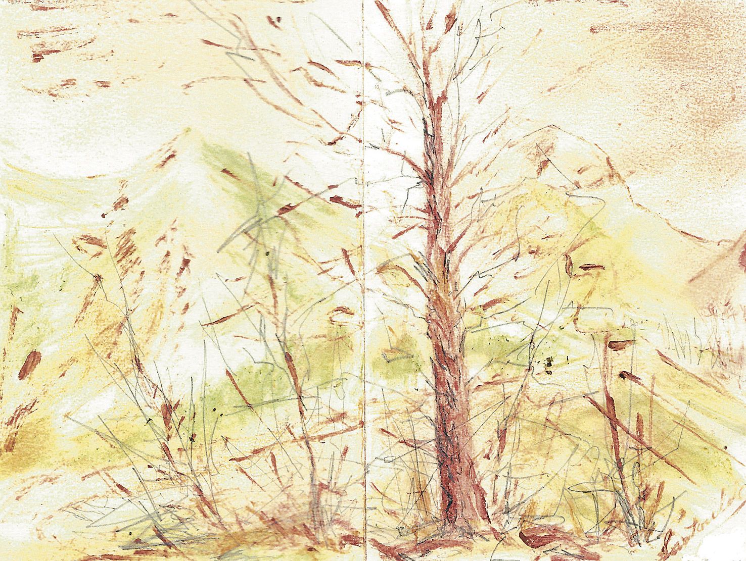 Latido del universo.