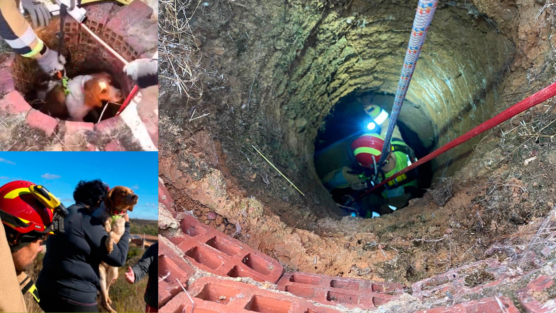 Imágenes del rescate a una perrita por parte de los bomberos. | BOMBEROS AYTO. DE LEÓN