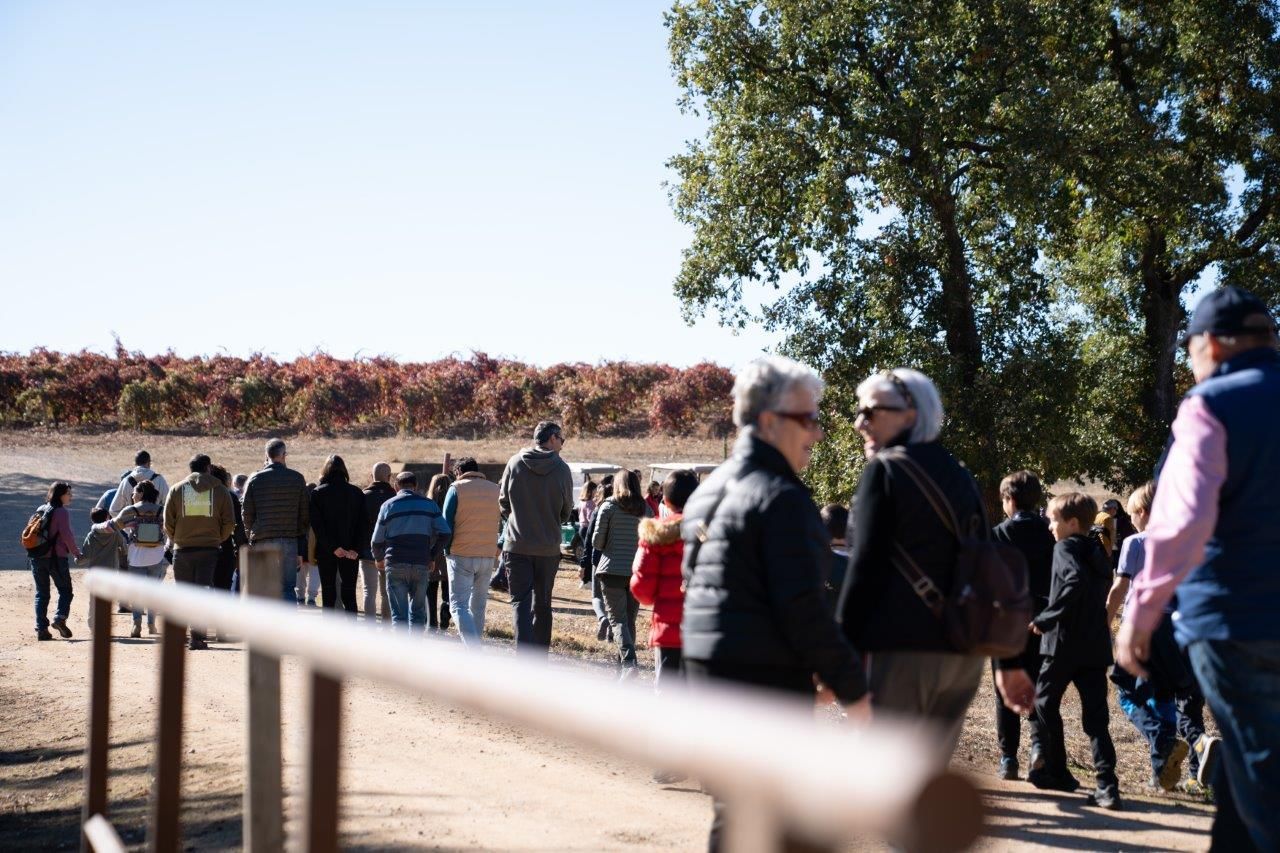 Ecoturismo en familia con un claro fin solidario gracias a este bodega de vino de León (1)