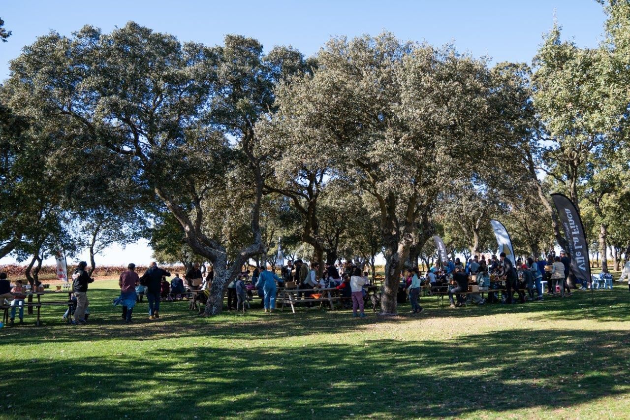Ecoturismo en familia con un claro fin solidario gracias a este bodega de vino de León (4)