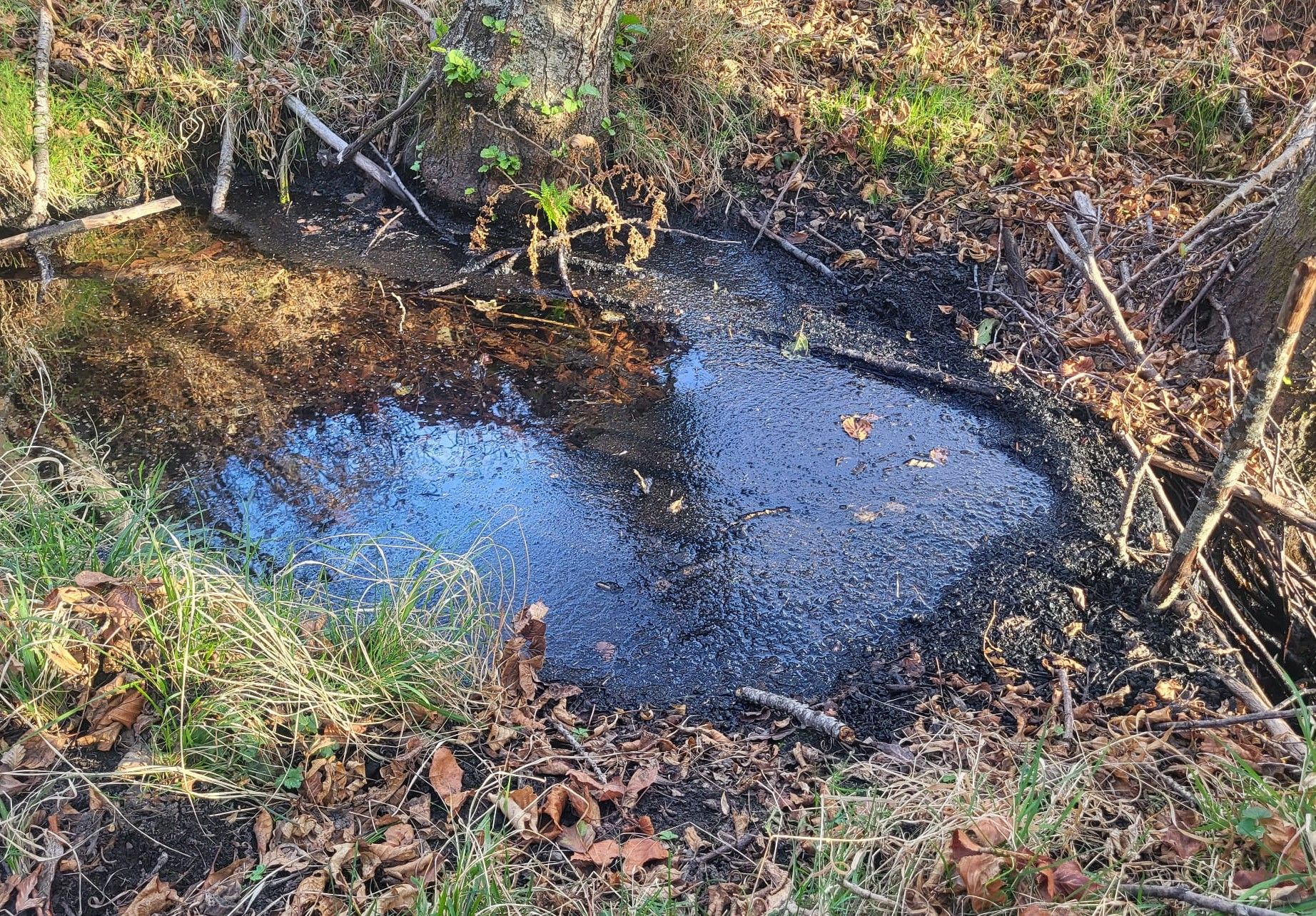 Cenizas en el río Duerna, en los Montes de León. | L.N.C.
