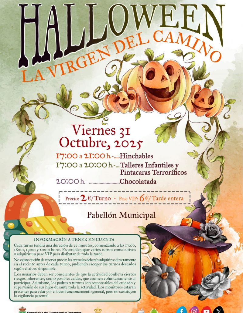 561091159 1238056205032271 7099125977428225209 n