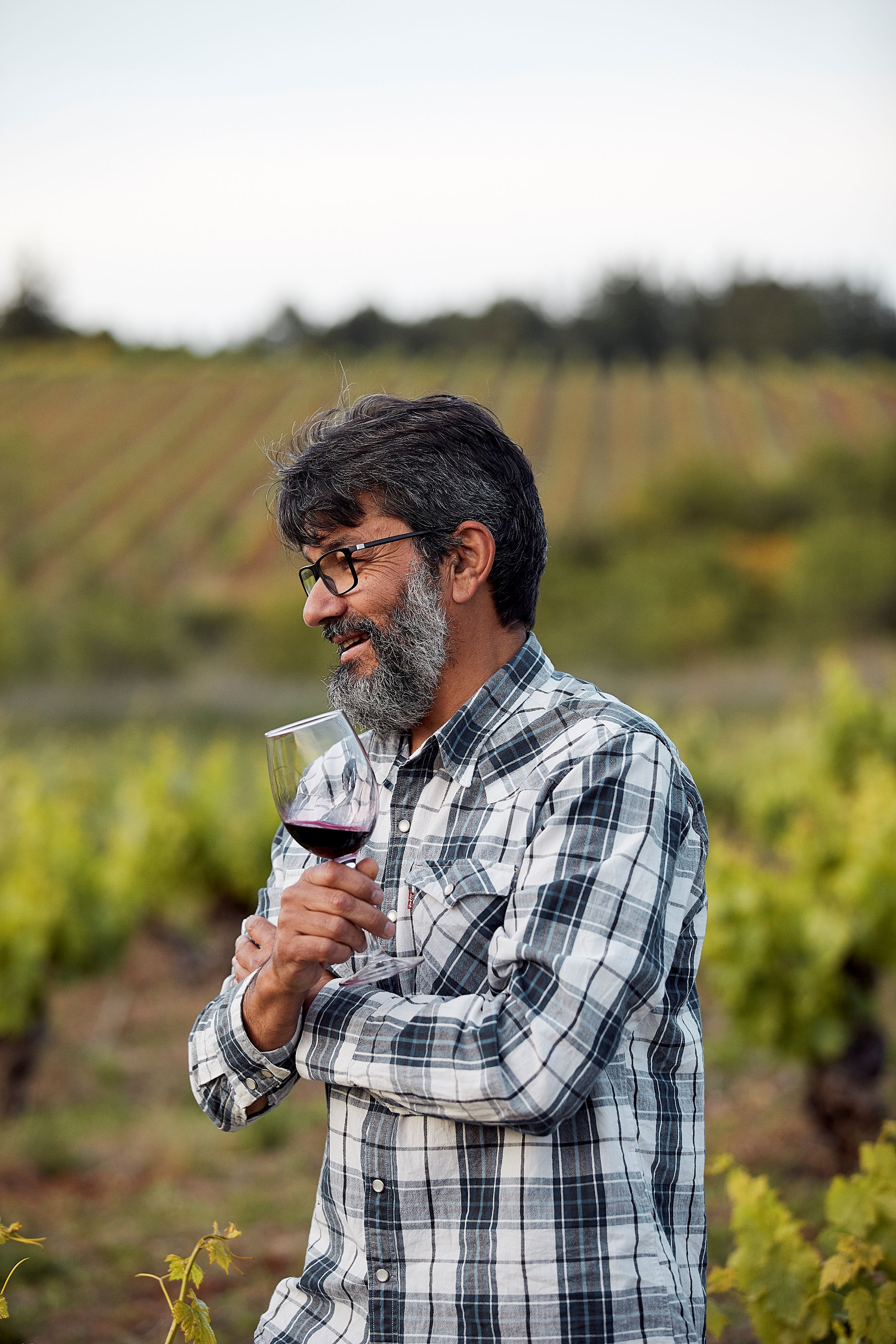 Alfredo Marqués, enólogo de Pittacum.