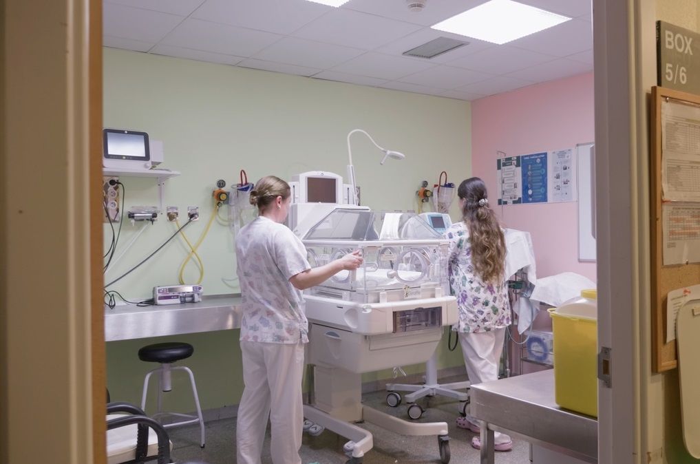 Neonatos en el 'Mami Tour'. Neonatos en el 'Mami Tour'.