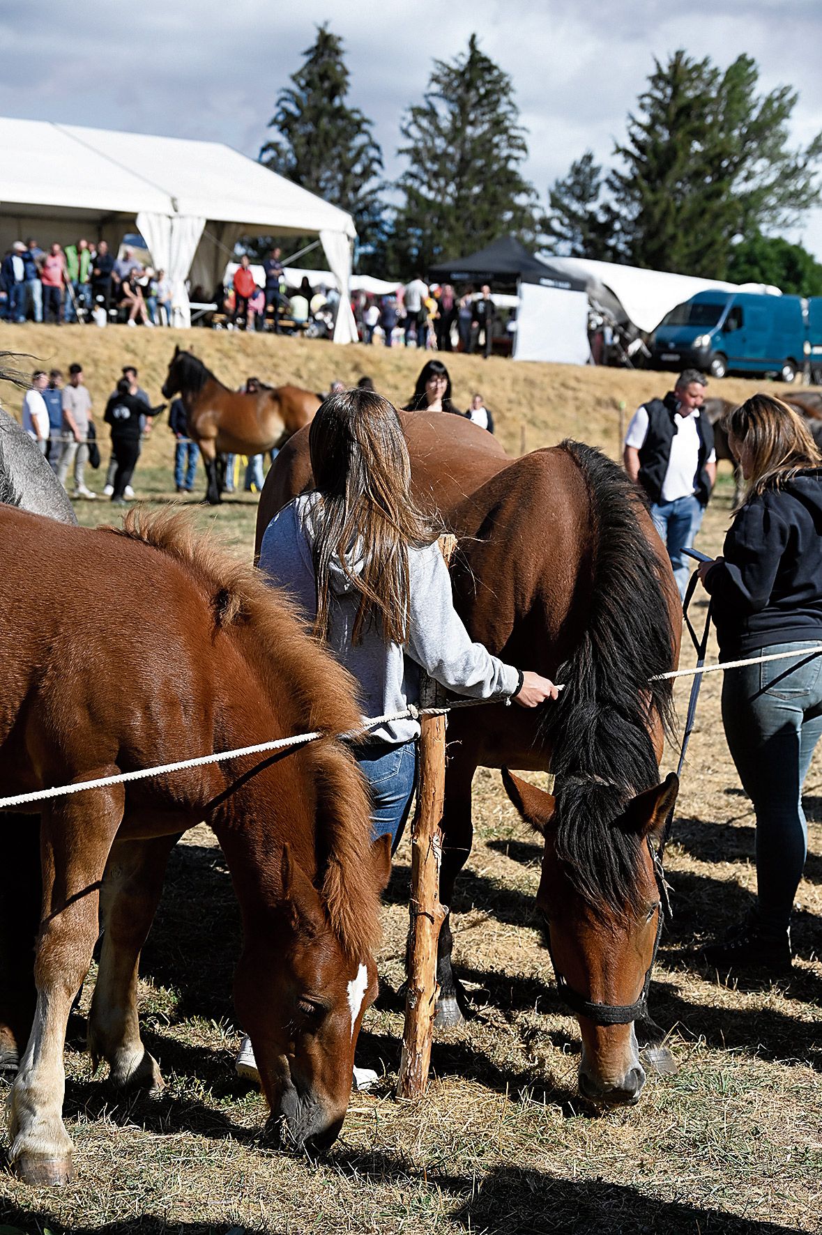 | SAÚL ARÉN | SAÚL ARÉN