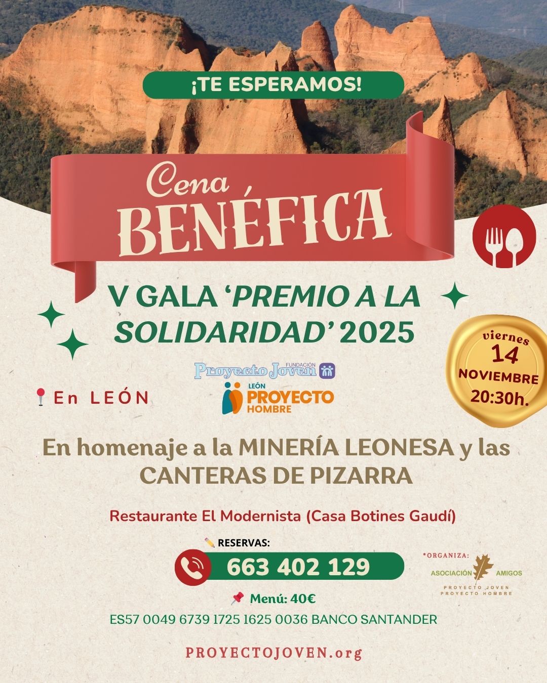 cartel cena benéfica 2025