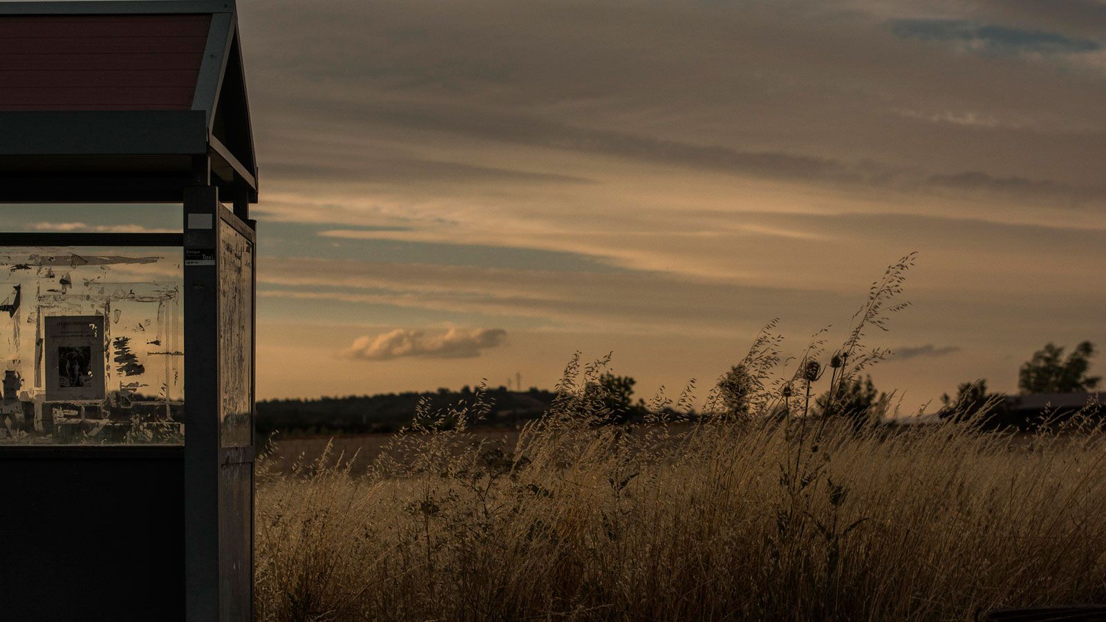 ‘El final del verano’ se llevó el primer premio. | ESPERANZA LABRADOR RODRÍGUEZ
