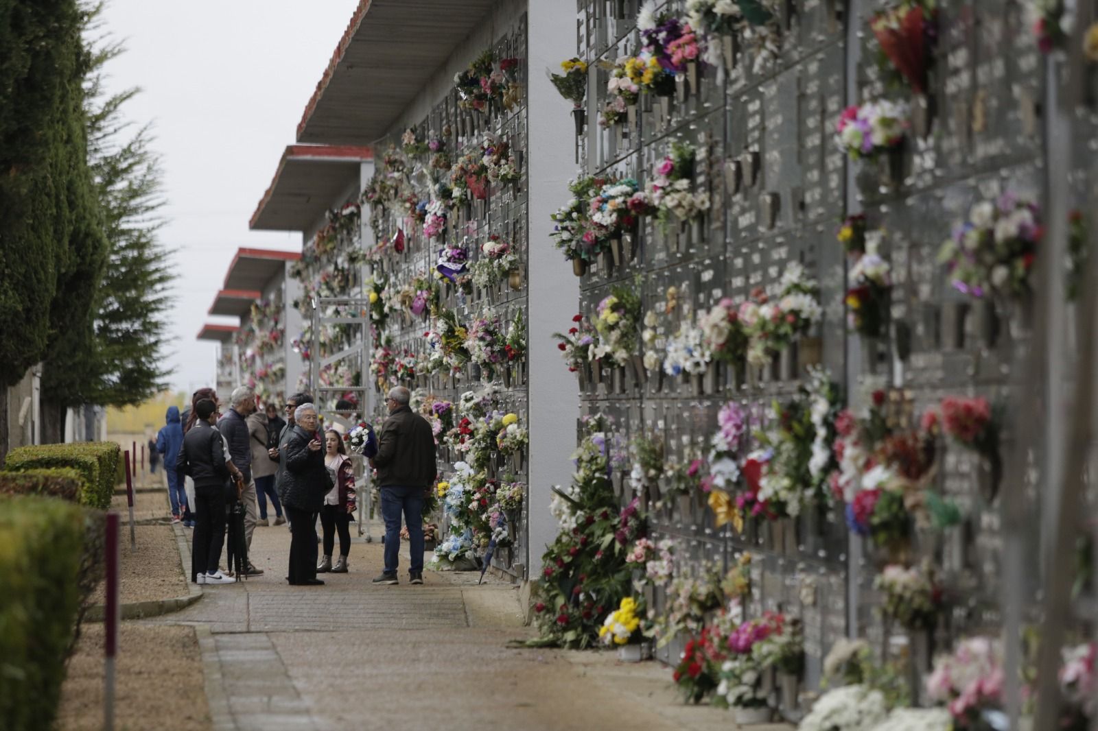 Día de Todos los Santos en el cementerio de León. | FERNANDO OTERO