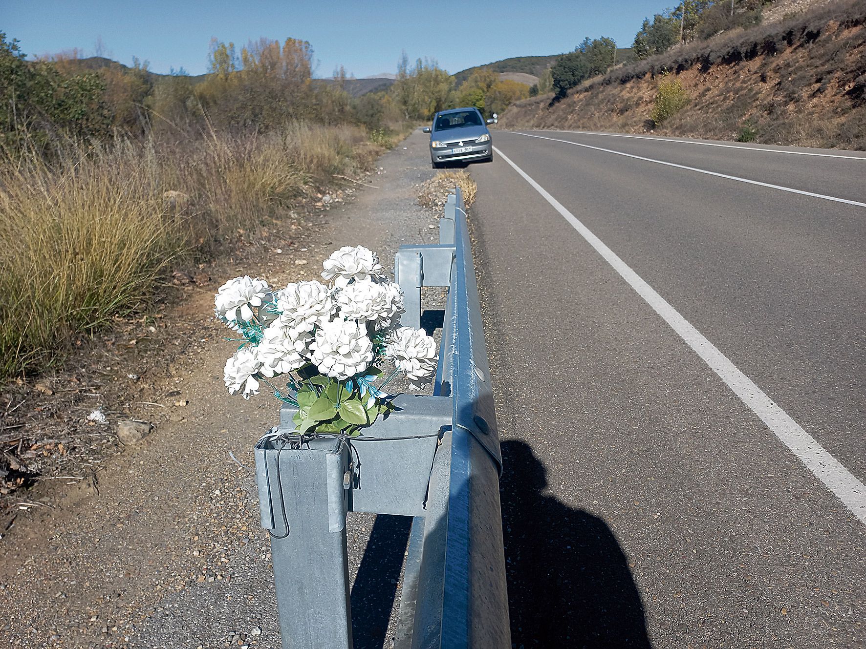 Un ramo de flores sobre el quitamiedos cerca de Pardavé. | F. FERNÁNDEZ