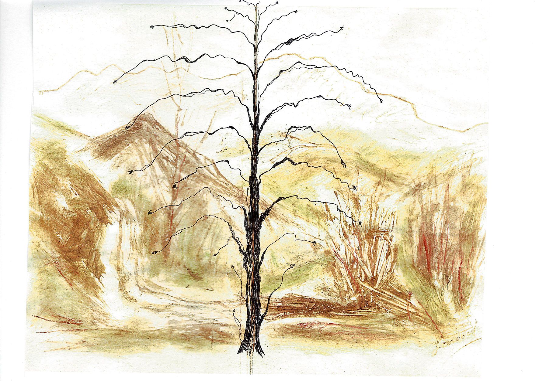 Senderos de inspiración.