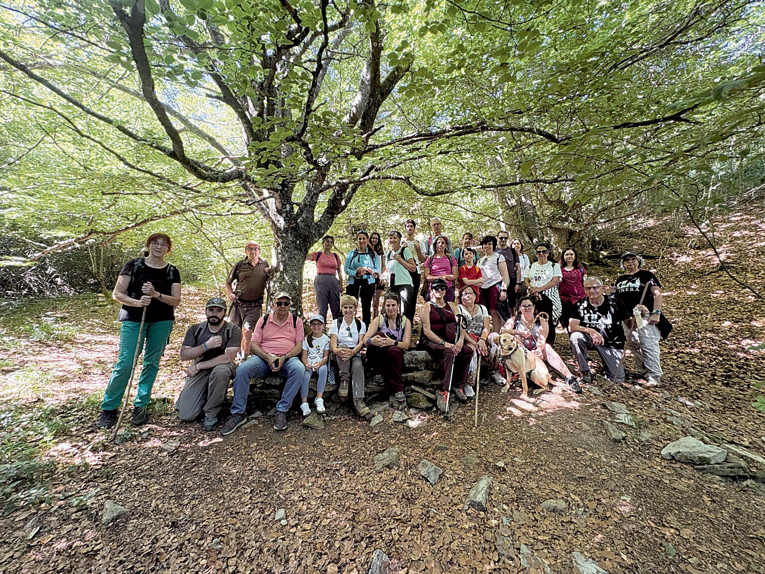 En la fotografía, imagen de una de las actividades llevadas a cabo en la campaña estival. | RBAB