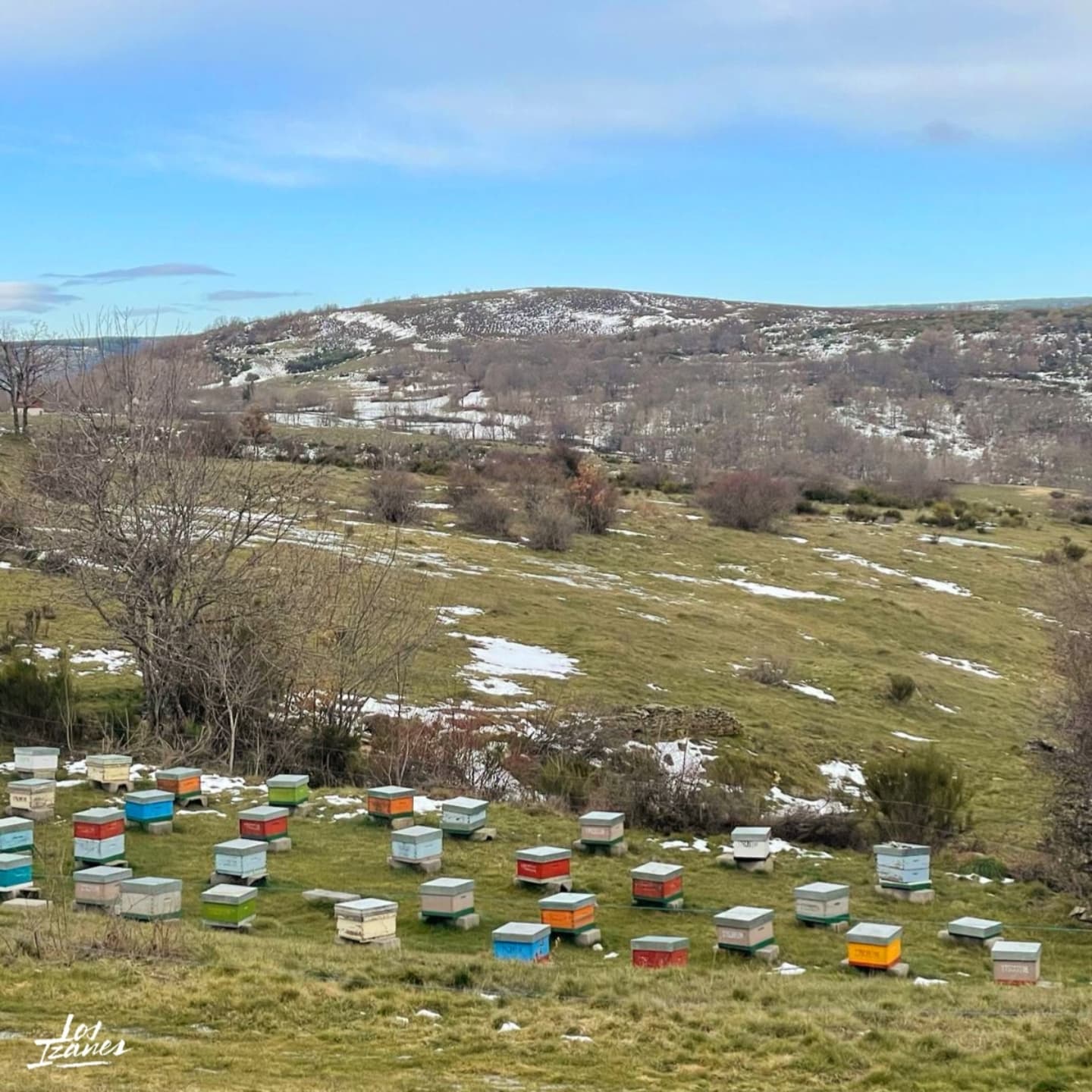 Colmenas de Los Izanes, en los valles de Omaña y Luna.