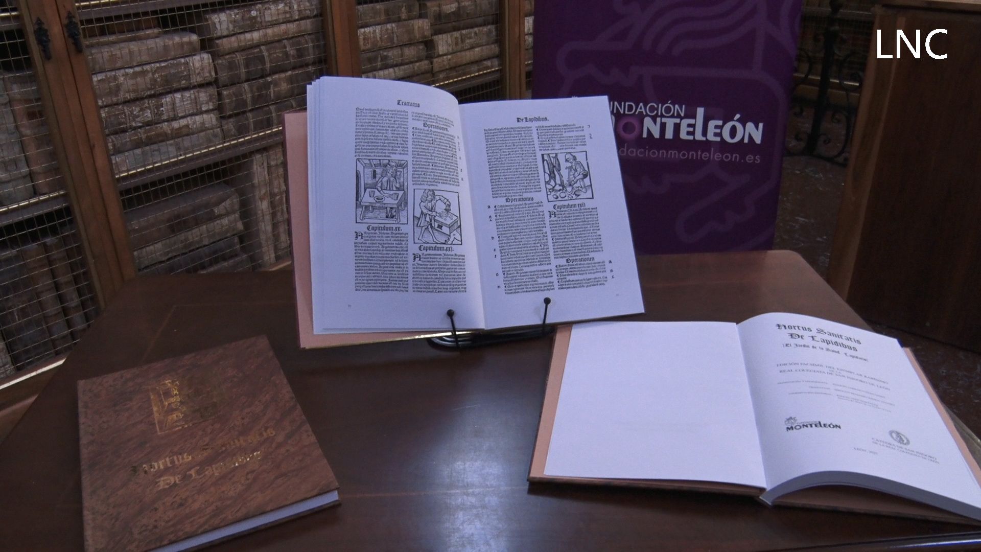 Imagen del facsímil de geofarmacia del herbario incunable 'Hortus Sanitatis' de 1500. | L.PASTORIZA