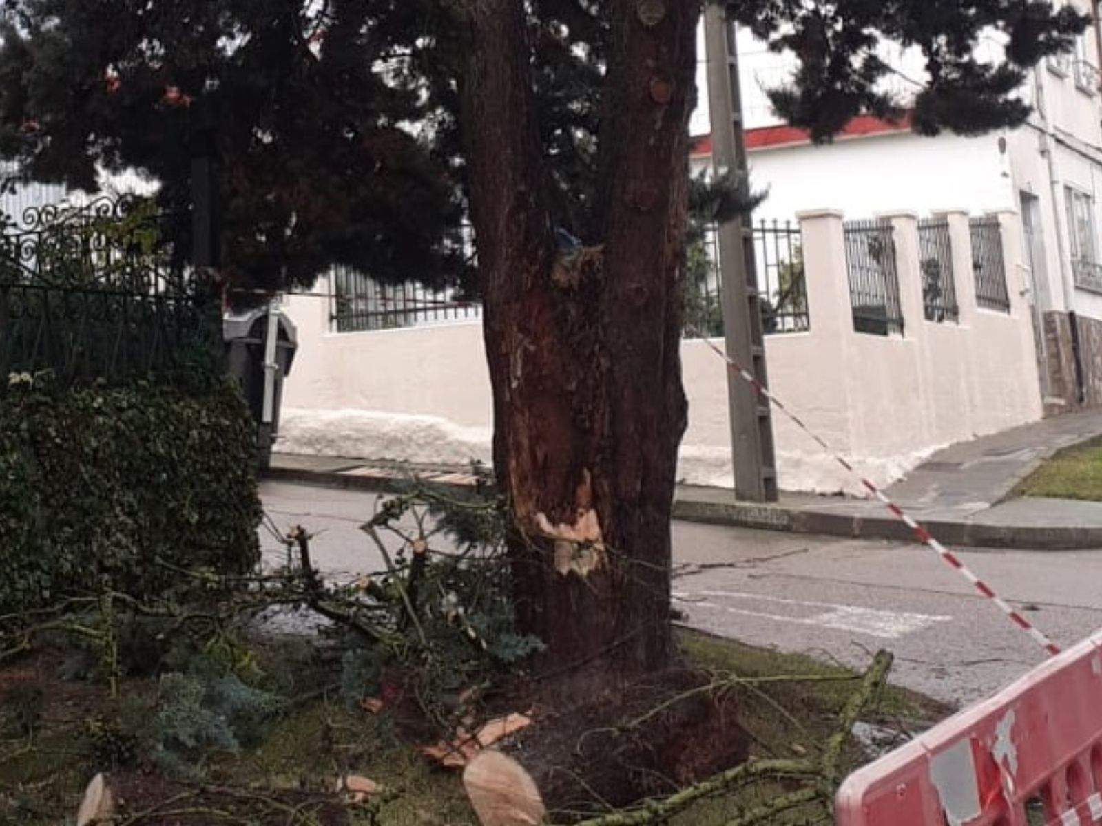 576471893 1167724512215132 3014315962284066432 n (1)