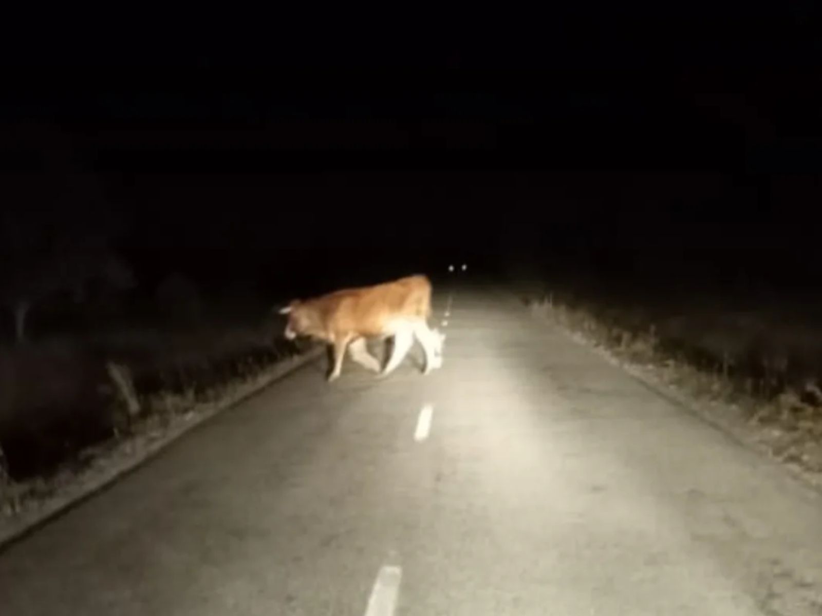 Captura de pantalla 2025 11 06 024157 Captura de pantalla 2025 11 06 024157