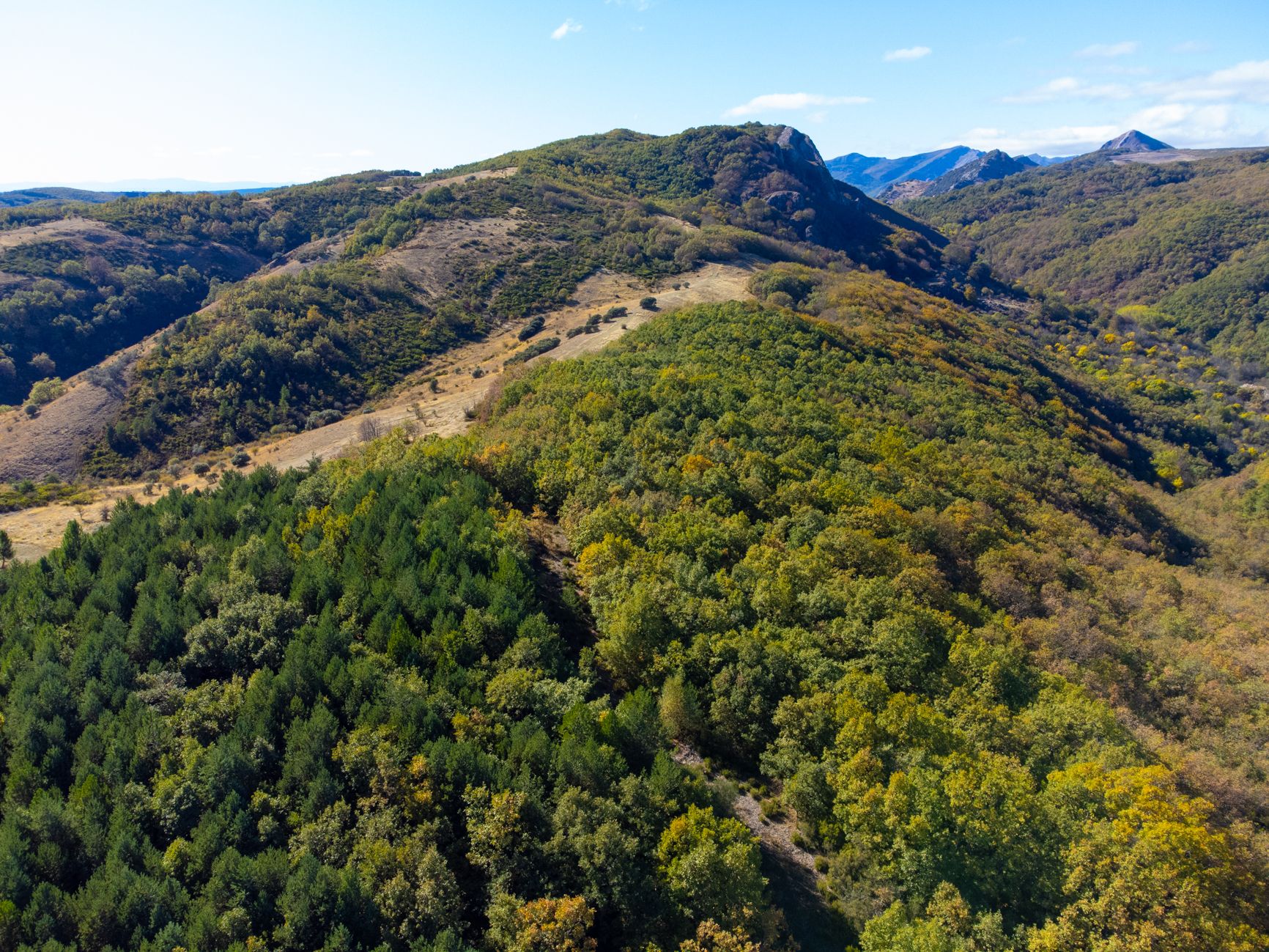 Hayedo de Orzonaga y Canto de la Perdiz. | VICENTE GARCÍA