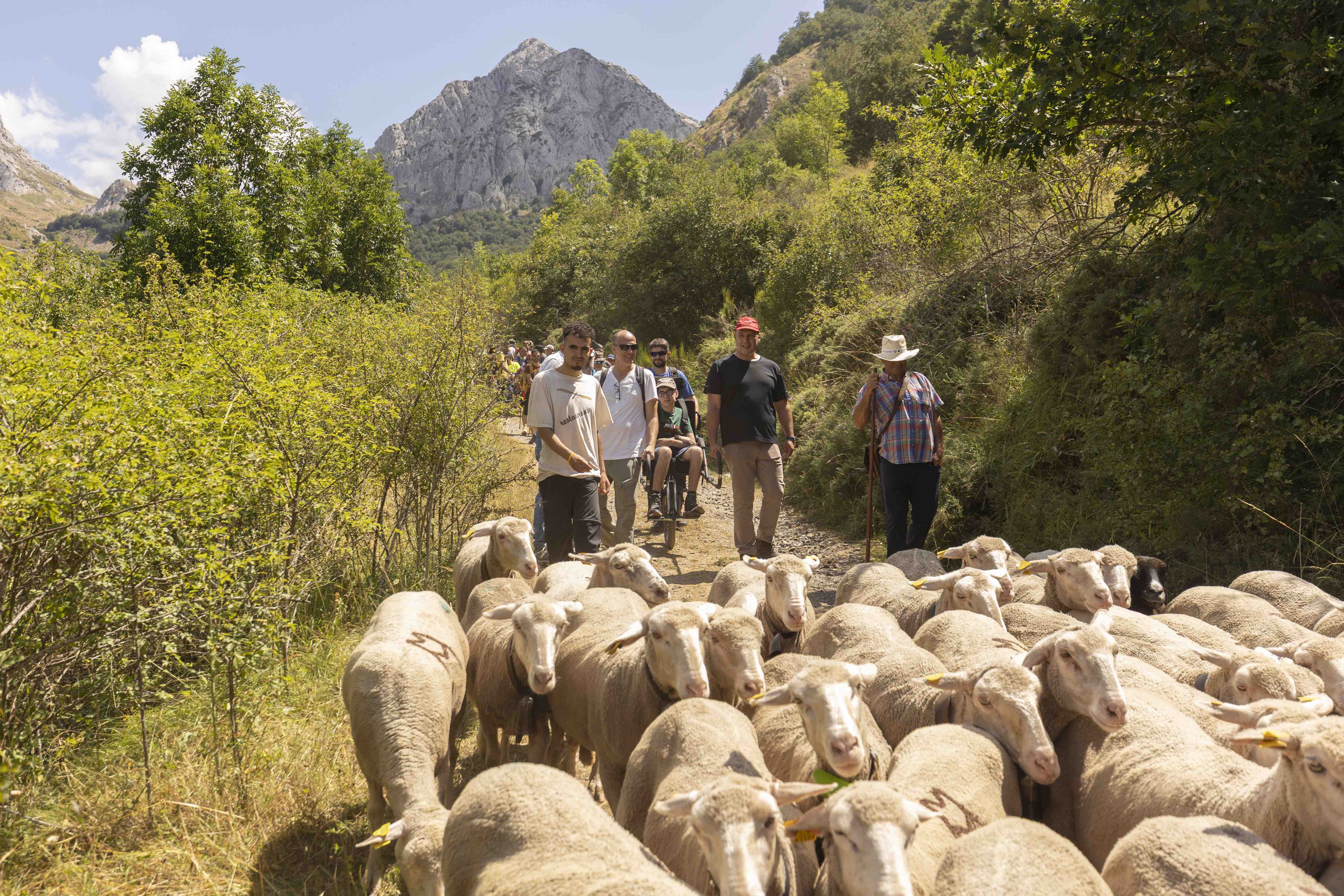 Ha desarrollado experiencias piloto en dos de las principales cañadas reales peninsulares.