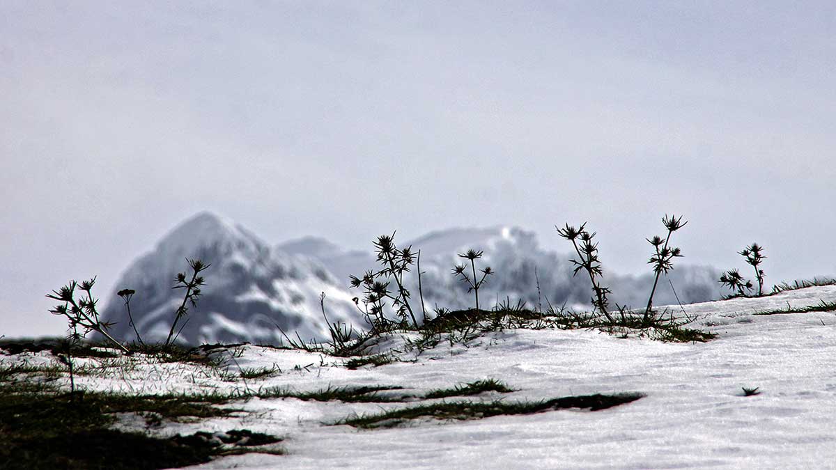 La zona de Babia ya es Reserva de la Biosfera. | PEIO GARCÍA
