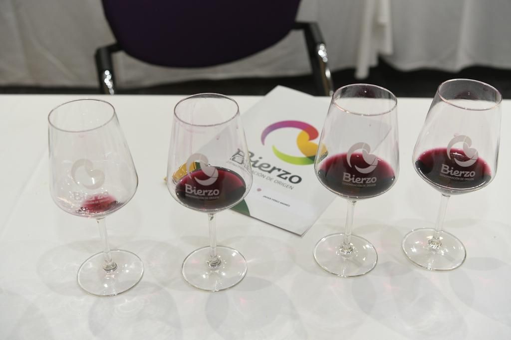 Los vinos de la Denominación de Origen Bierzo son muy reconocidos y demandados más allá de las fronteras de la provincia. | L.N.C.