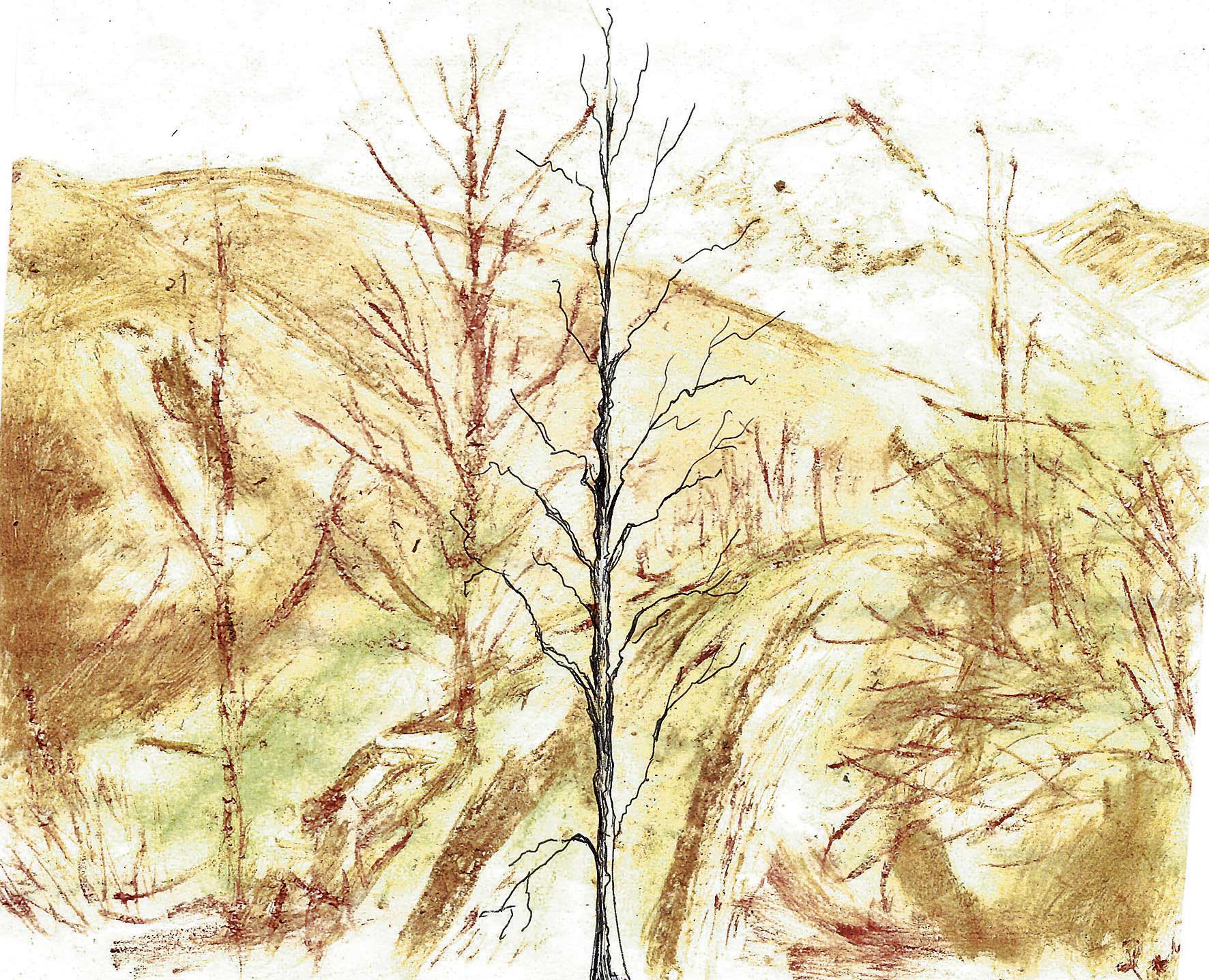 Emociones, brujula y desafío